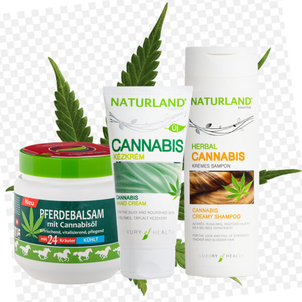 mix 1 crema massaggi 500 ml - 1 shampoo 200 ml - 1 crema viso/mani 50 ml